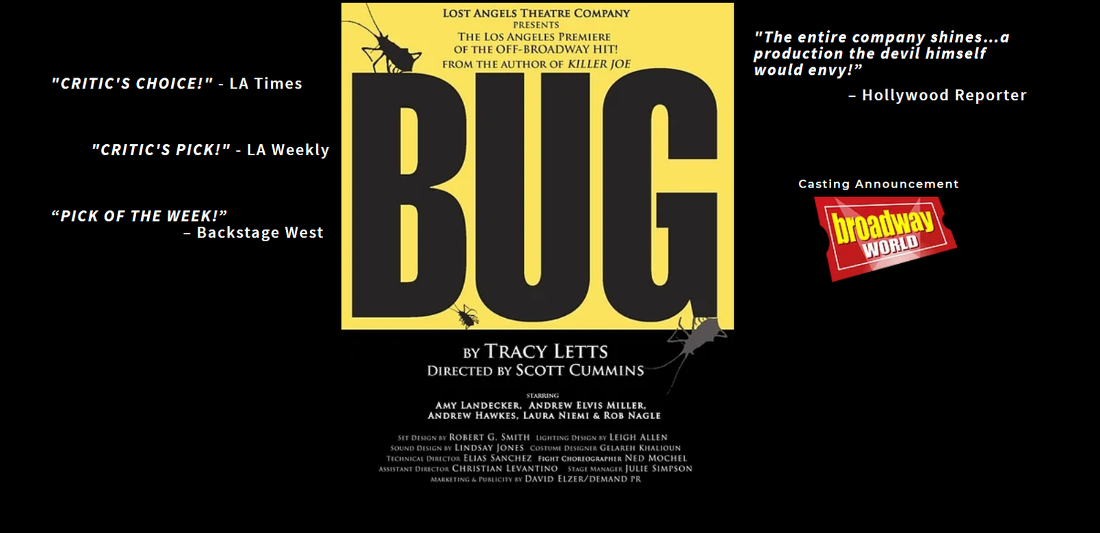 Bug